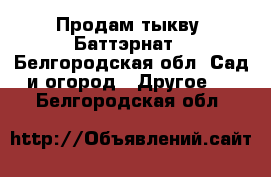 Продам тыкву  Баттэрнат - Белгородская обл. Сад и огород » Другое   . Белгородская обл.